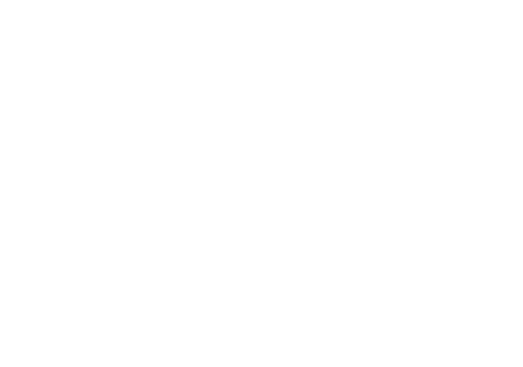 BIG Logo